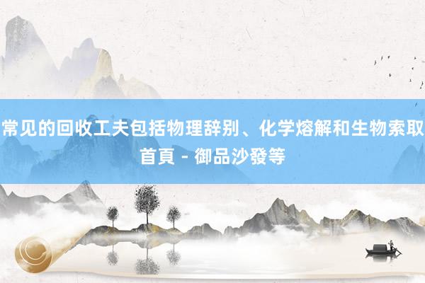 常见的回收工夫包括物理辞别、化学熔解和生物索取首頁 - 御品沙發等